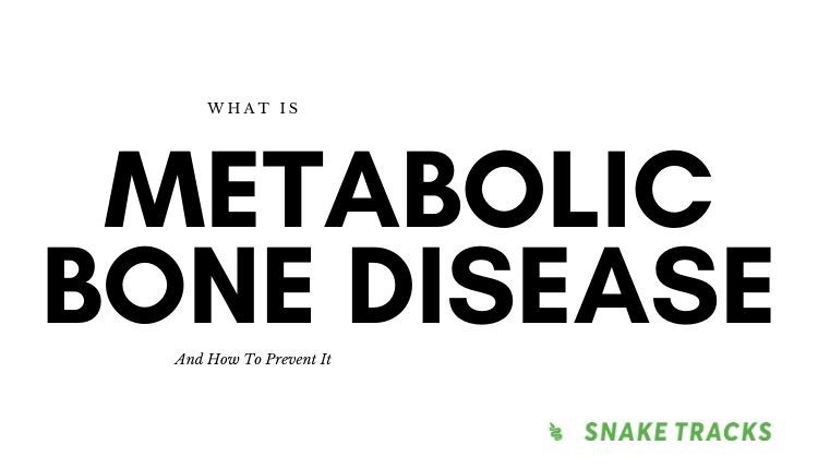 Metabolic Bone disease in reptiles