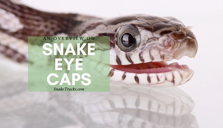 Snake Eye Caps